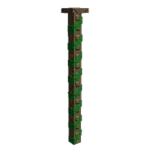 Viney Beam