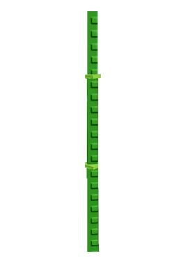 Bamboo