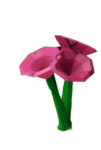Bee Balm