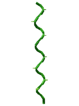 Bendboo