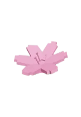 Cherry Blossom