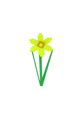 Daffodil