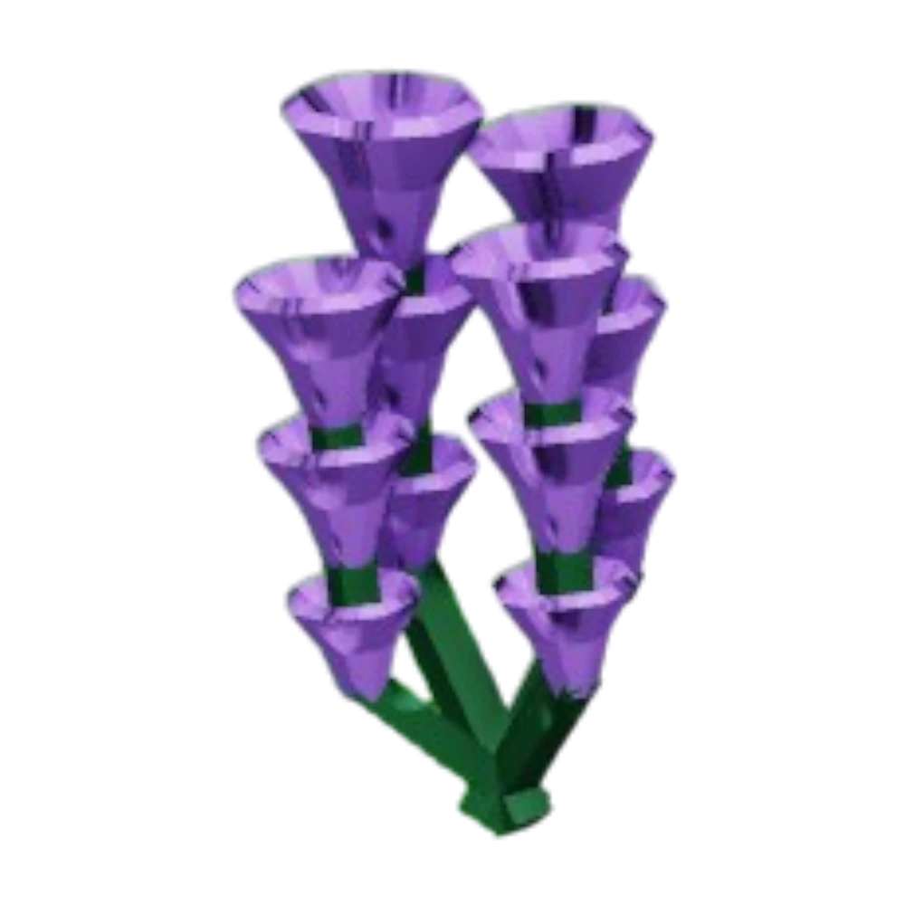 Lavender