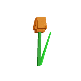 Orange Tulip