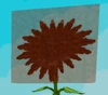 Grow a Garden OldAmber Mutation