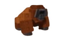 Orangutan