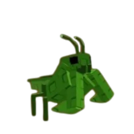 Praying Mantis