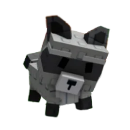 Raccoon