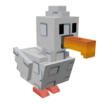 Seagull